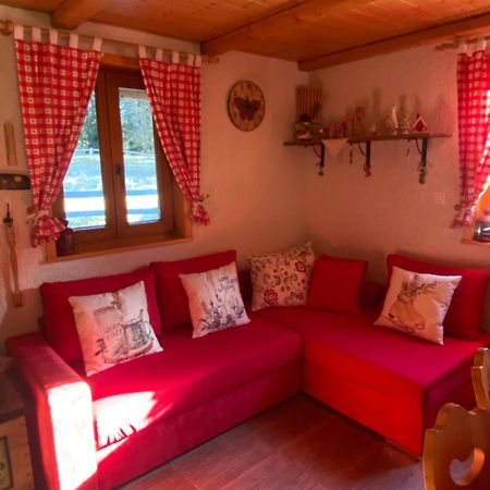 Cosy Chalet On Pokljuka - Brunarica Tinkara زغورنجي المظهر الخارجي الصورة