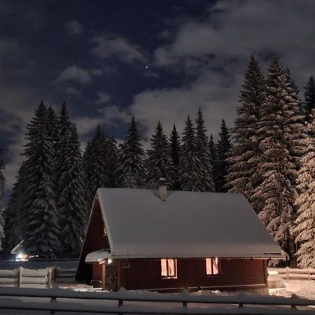 Cosy Chalet On Pokljuka - Brunarica Tinkara زغورنجي المظهر الخارجي الصورة