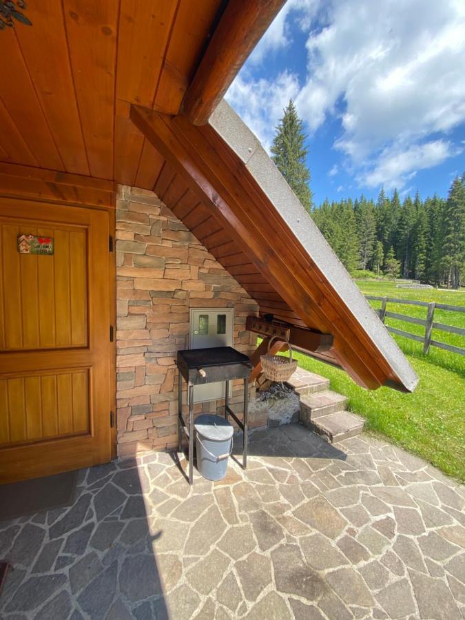 Cosy Chalet On Pokljuka - Brunarica Tinkara زغورنجي المظهر الخارجي الصورة