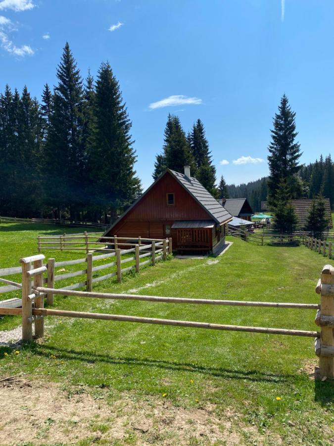 Cosy Chalet On Pokljuka - Brunarica Tinkara زغورنجي المظهر الخارجي الصورة