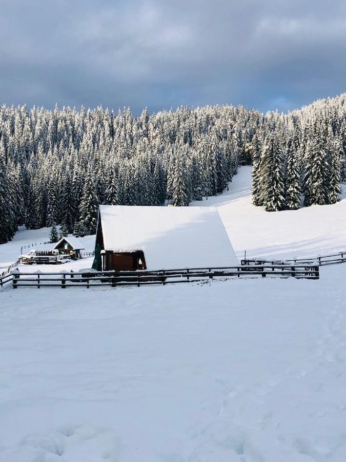 Cosy Chalet On Pokljuka - Brunarica Tinkara زغورنجي المظهر الخارجي الصورة