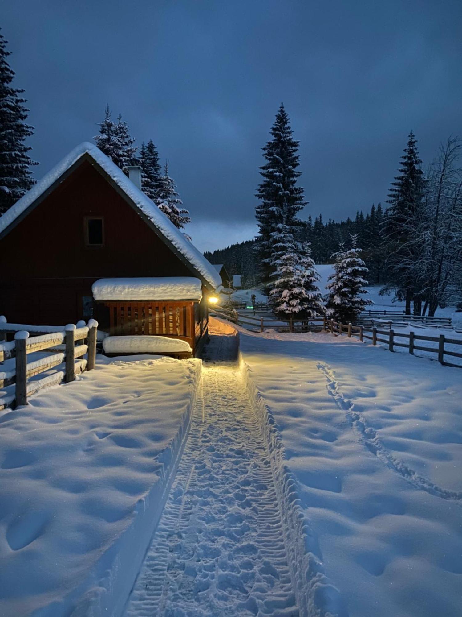 Cosy Chalet On Pokljuka - Brunarica Tinkara زغورنجي المظهر الخارجي الصورة