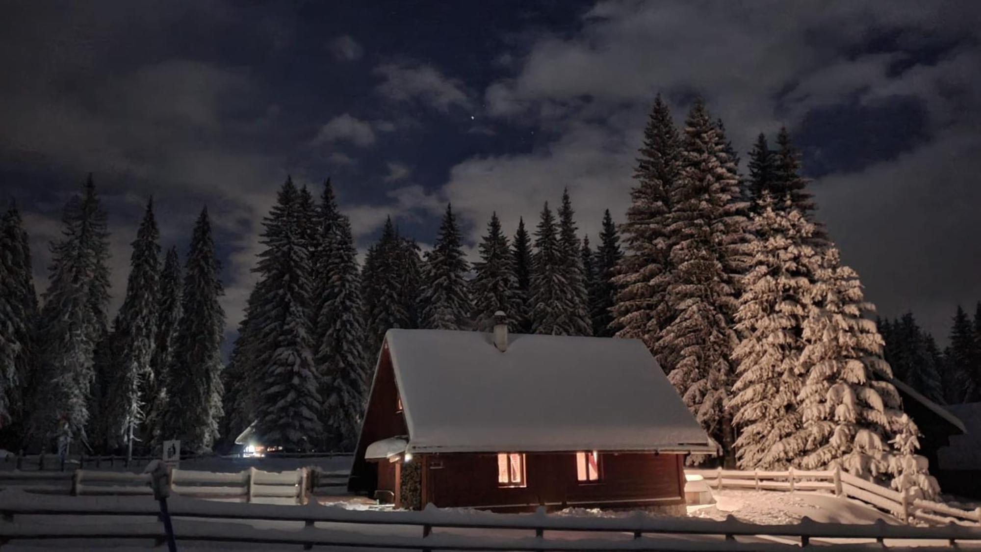 Cosy Chalet On Pokljuka - Brunarica Tinkara زغورنجي المظهر الخارجي الصورة