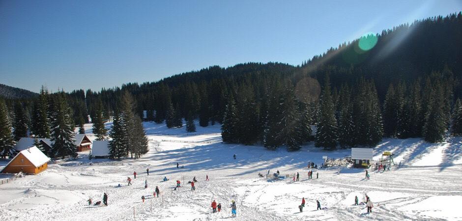 Cosy Chalet On Pokljuka - Brunarica Tinkara زغورنجي المظهر الخارجي الصورة